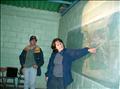Presentando el Proyecto en el Pajarito Tuame